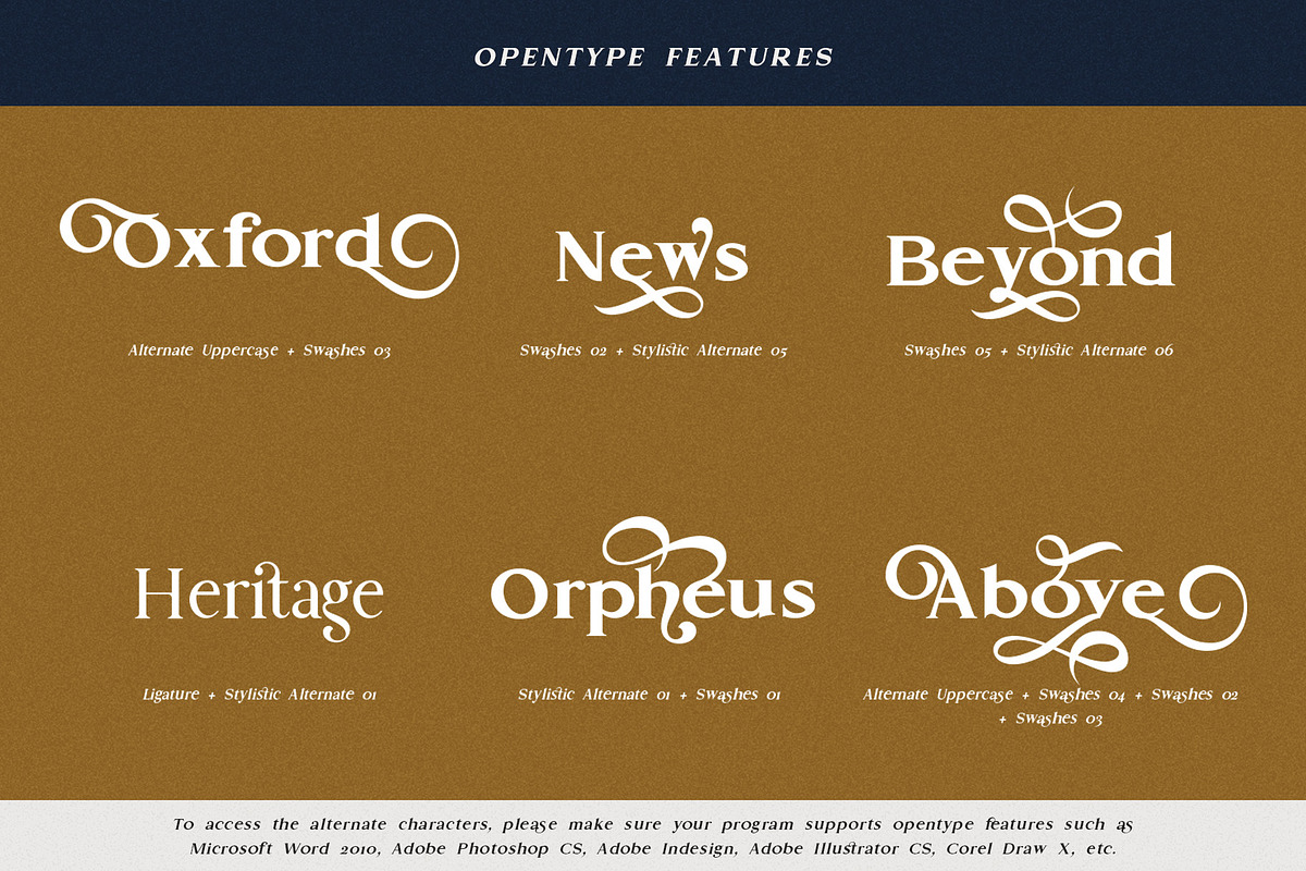 Gold Leaf, a Serif Font by Fontsgood (Photo 6 of 12)