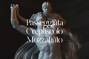 Par Realisation - Serif Typeface, a Serif Font by TypeMaison (Thumbnail 14 of 14)
