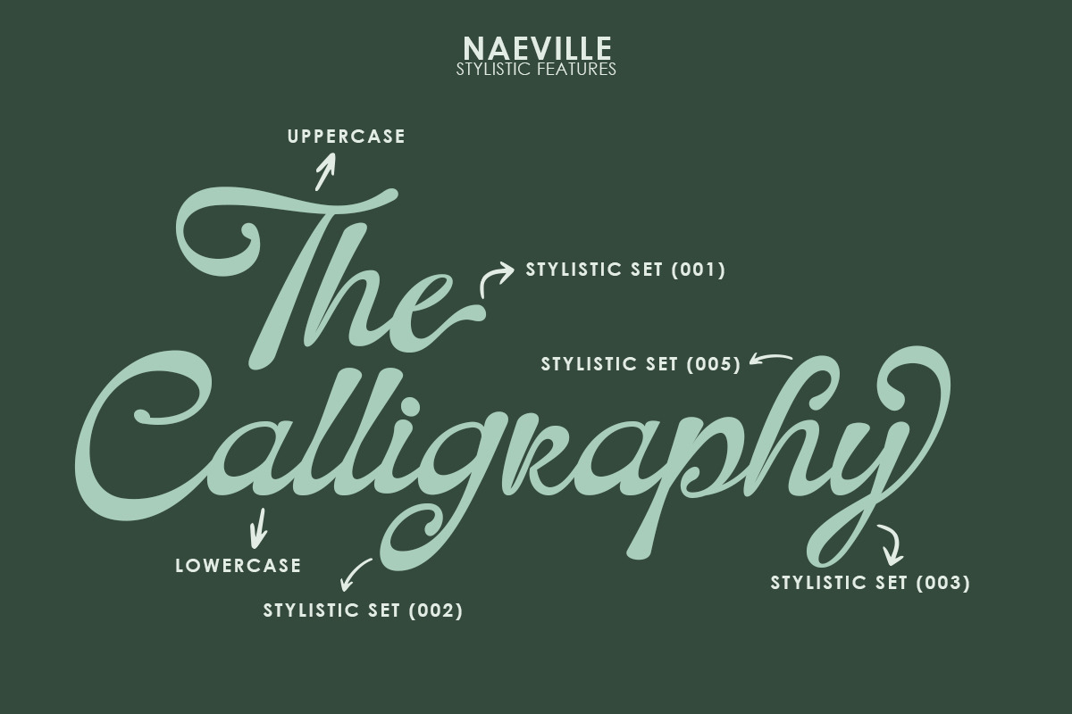 Naeville, a Script Font by StudioRhd (Photo 2 of 10)