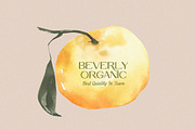 Quiet Garden Font Duo Retro Whimsy, a Script Font by Sixtype (Thumbnail 3 of 8)