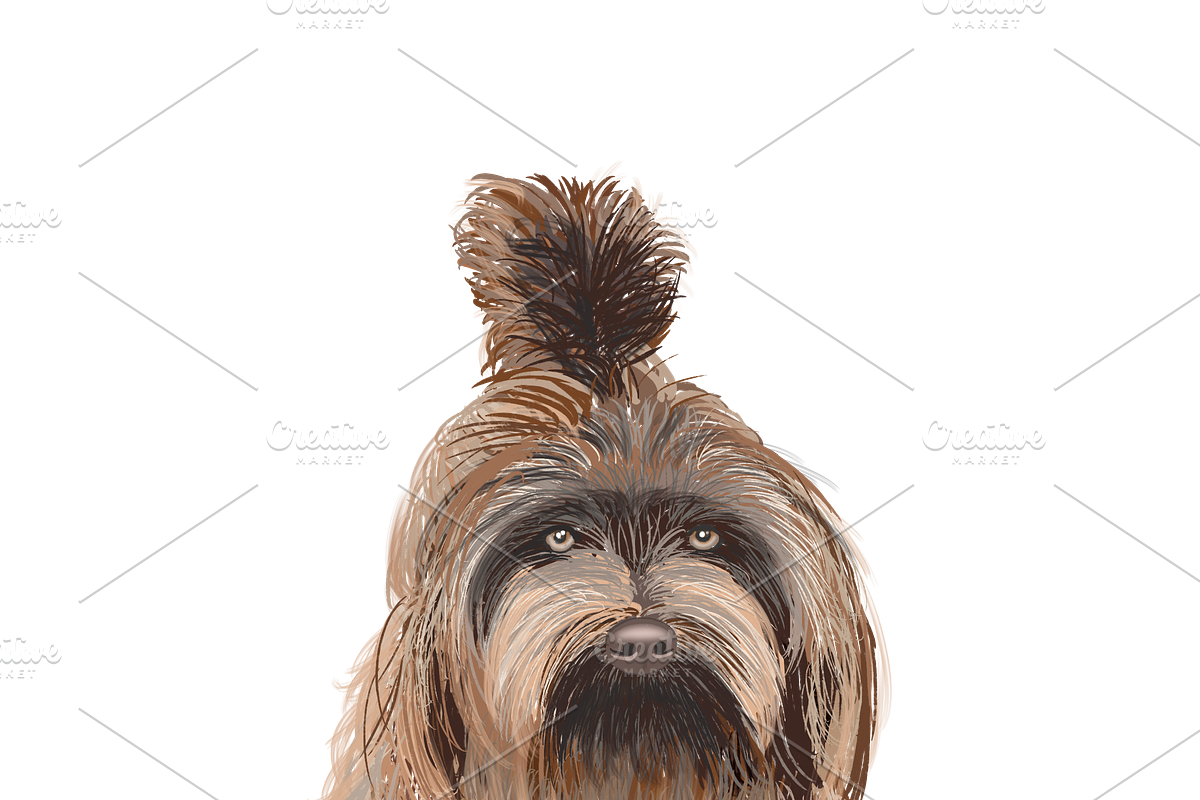 Dog Illustrations - Hand painted, an Animal Illustration by Papaya (Photo 5 of 7)
