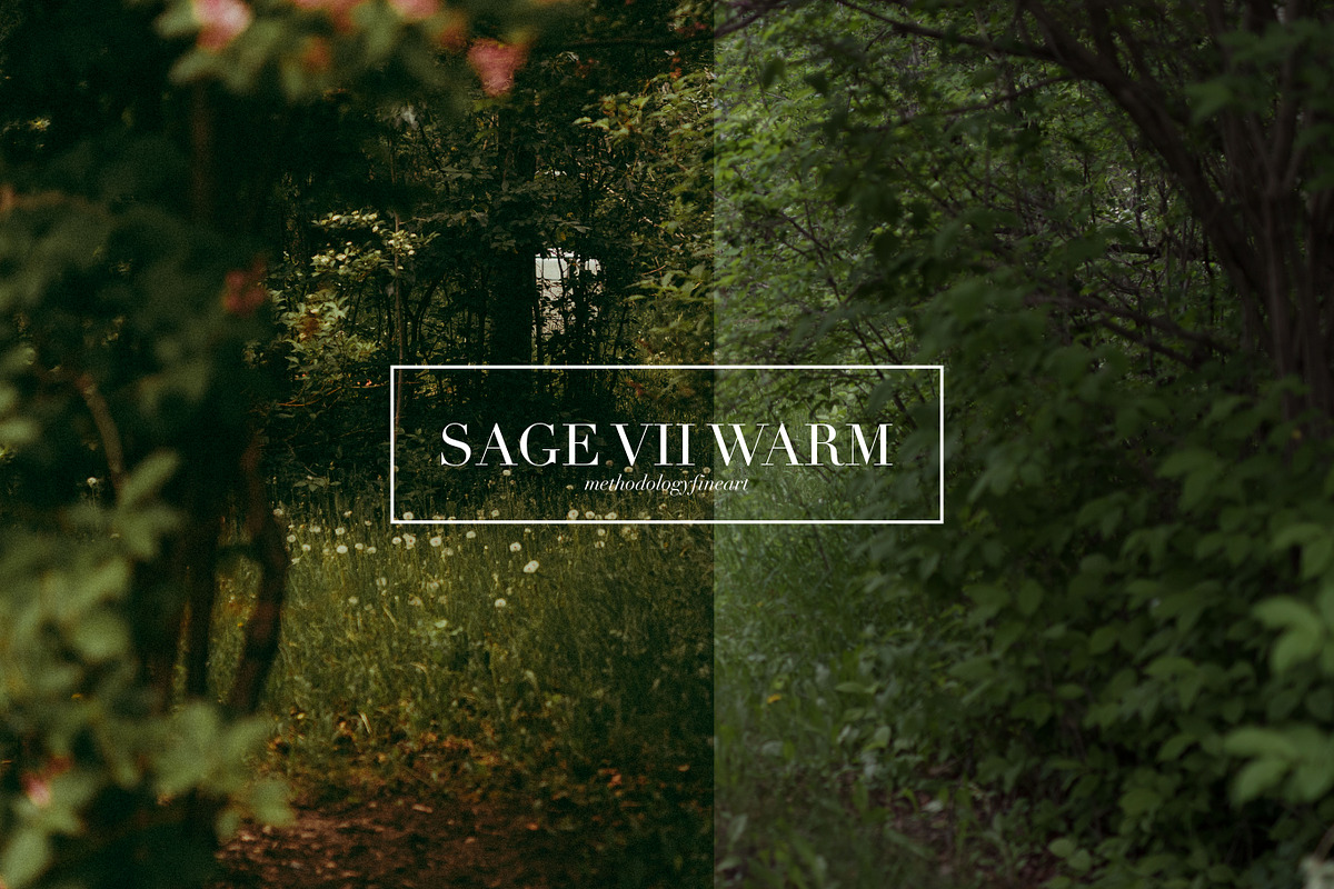 Sage, Moody Lightroom & ACR Presets, an Action Add-On by Darling Josephine (Photo 24 of 27)