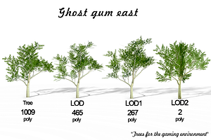 Ghost Gum East