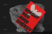Cardinel - Bold Font, a Sans Serif Font by limitype (Thumbnail 5 of 13)