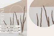 Soft Naturals | 100 art prints, a Background Graphic by Tale.Haus (Thumbnail 7 of 9)