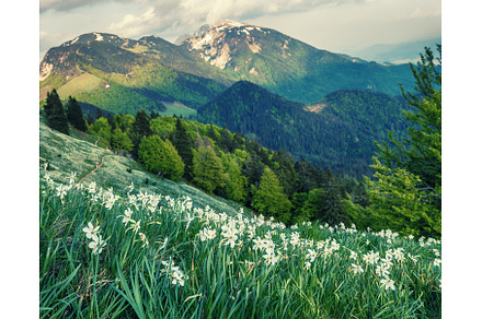 Beautiful mountain landscape with, a Nature Photo by Nature and travel