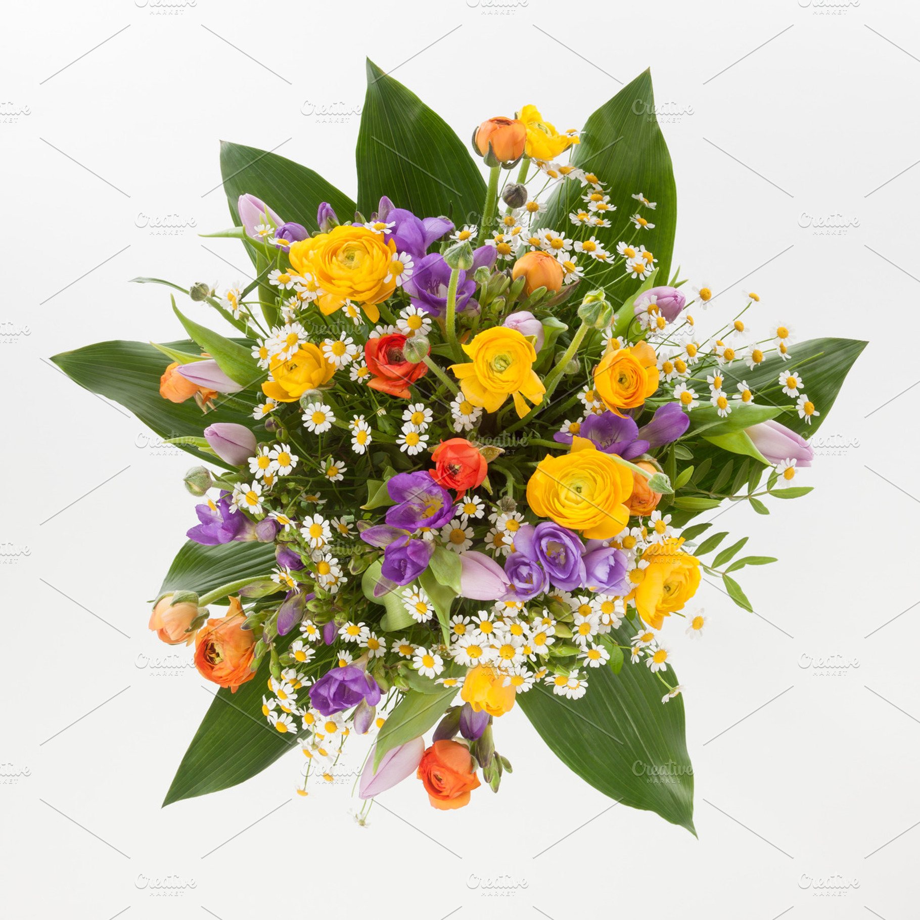 Bouquet with ranunculus and freesia, a Background Photo by Ernesto Solla
