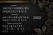 Halina Elegant Ligature Serif, a Serif Font by Alfinart (Thumbnail 8 of 10)