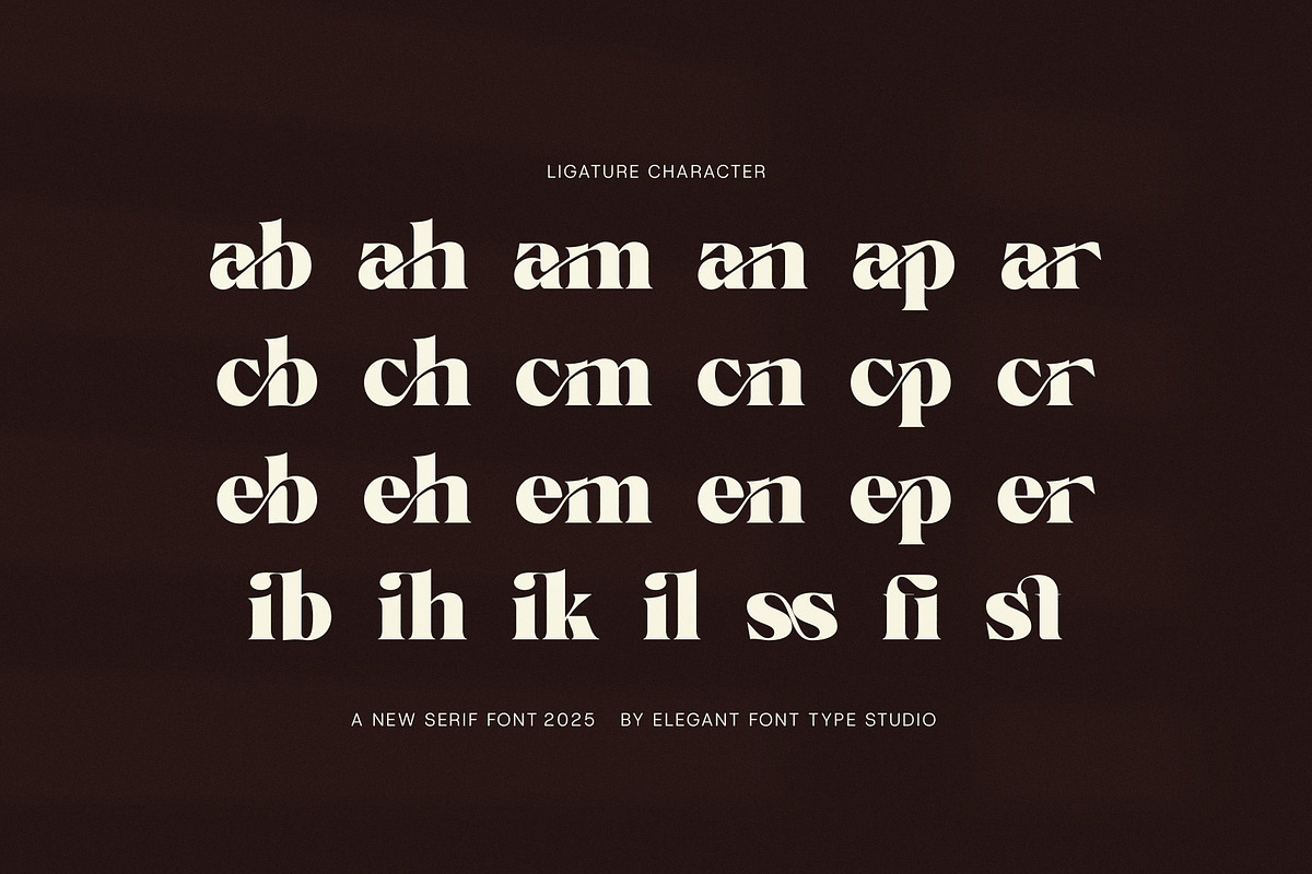 Mikey Elegant Serif Font, a Serif Font by Elegant Font (Photo 6 of 7)