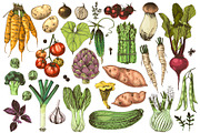Natural food BUNDLE, a Food Illustration by handsketched (Thumbnail 25 of 26)
