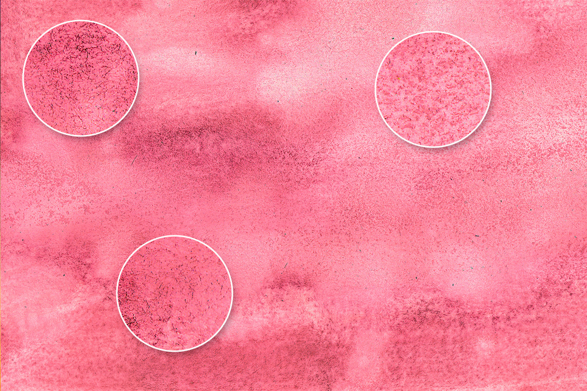 True Watercolor. Rose. preview 4