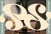 Twilight Mystic Modern Retro Serif, a Serif Font by timelesstype.co (Thumbnail 7 of 20)