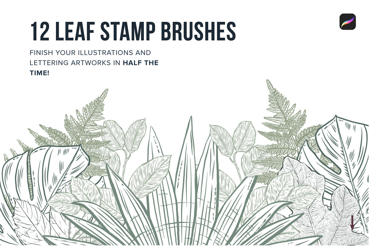 120 Floral Procreate Stamp Brushes, a Brush Add-On by Riveros Illustration (Photo 7 of 13)