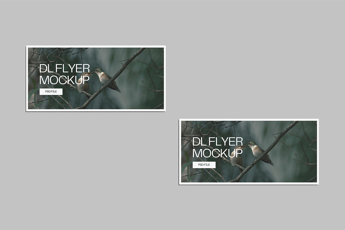 Landscape DL Flyer Mockup, a Print Template by Graphiculon (Photo 11 of 13)