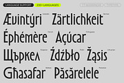 TT Modernoir, a Sans Serif Font by TypeType (Thumbnail 7 of 15)