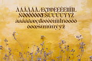 Cehua – Elegant Display Font, a Serif Font by AuthenType (Thumbnail 9 of 10)