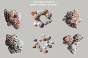 3d BIG bundle video & image, a Graphic by Mio Buono (Thumbnail 42 of 60)