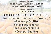 Pumpkin Farmhouse | Script Font, a Script Font by Scratchones (Thumbnail 7 of 8)