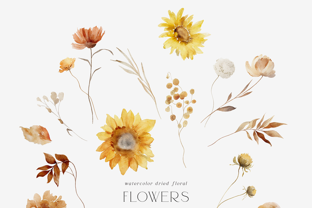 TERRE D'OMBRE Autumn Wildflowers, a Decorative Illustration by Muse Artist (Photo 4 of 13)