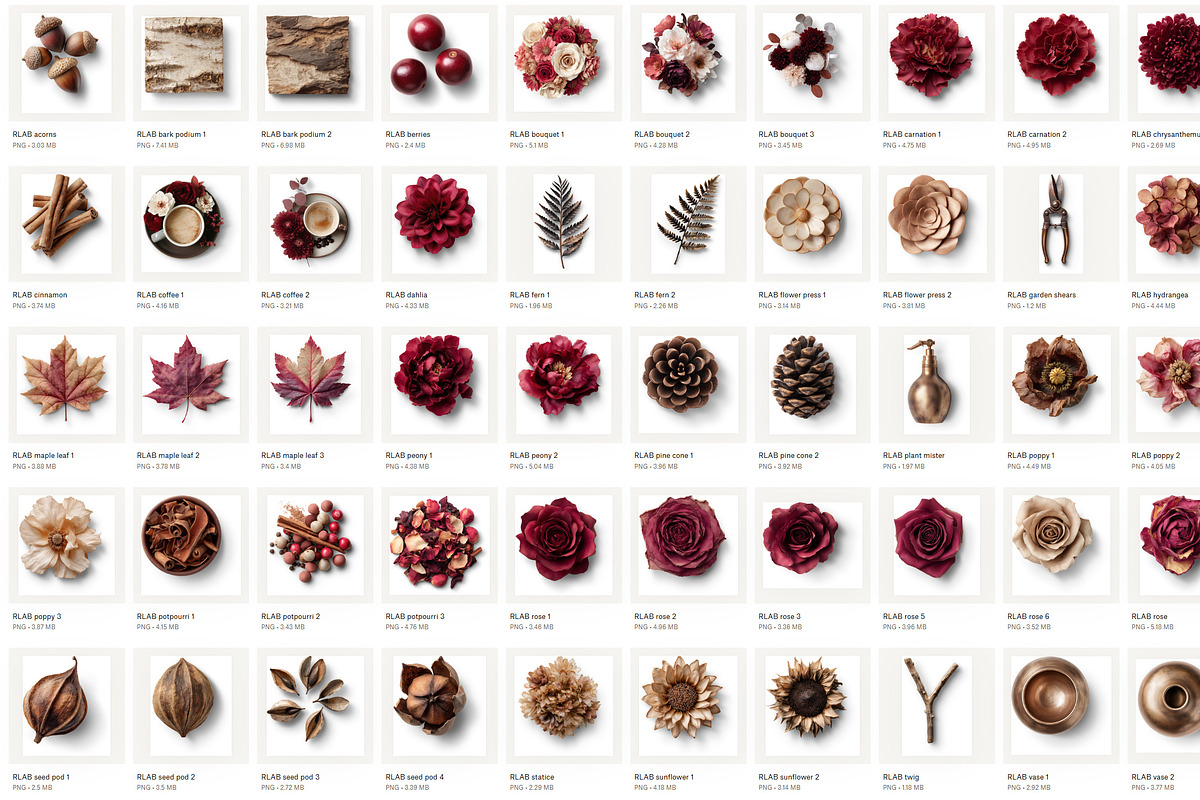 Autumn Botanicals PNG Objects, an Object Graphic by Iconogenic (Photo 2 of 5)