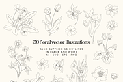 Spring Floral Vector Illustrations, a Decorative Illustration by Emma Webb Studio (Thumbnail 4 of 9)