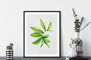 Tropical Green Plants Watercolor