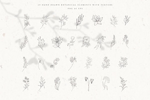 Botanical Alphabet & Monograms.