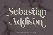 Vicky Christina Ligature Serif Font, a Serif Font by SilverStag Type Foundry (Thumbnail 15 of 25)