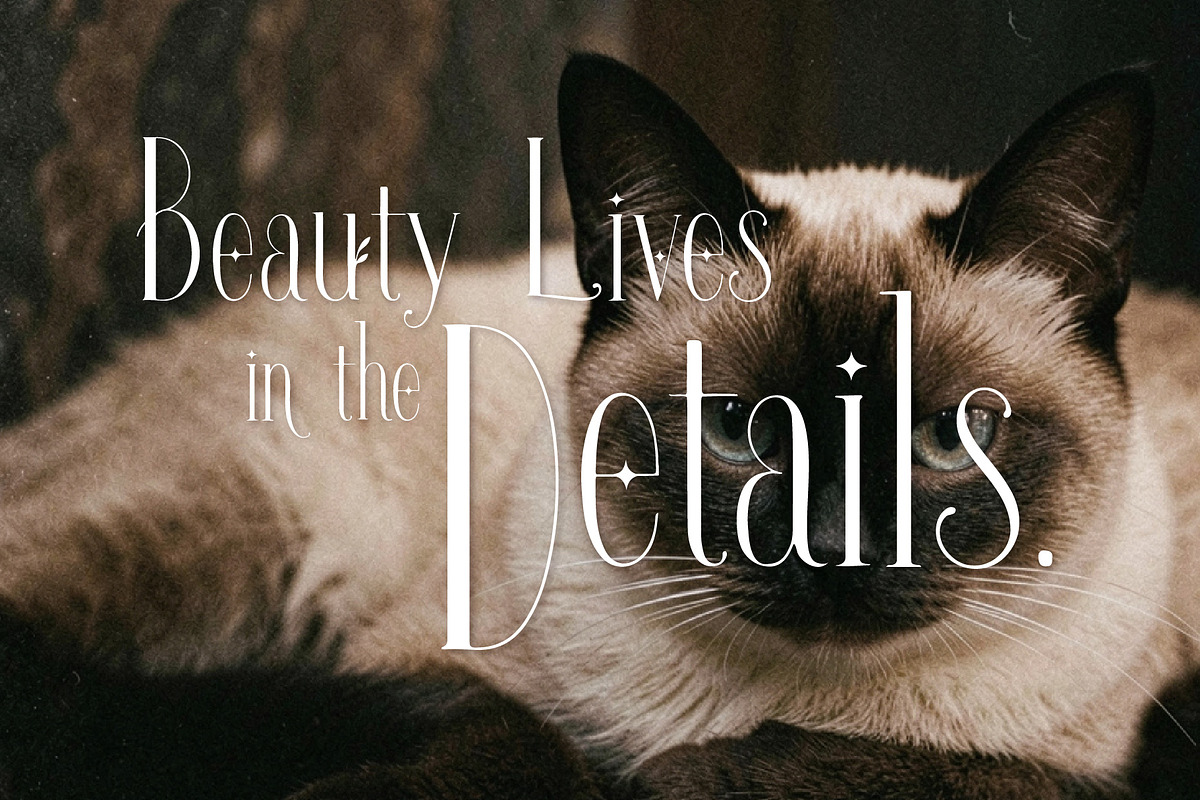 Qavirats - Tall Refined Luxury, a Serif Font by HypeWorksCo (Photo 13 of 20)