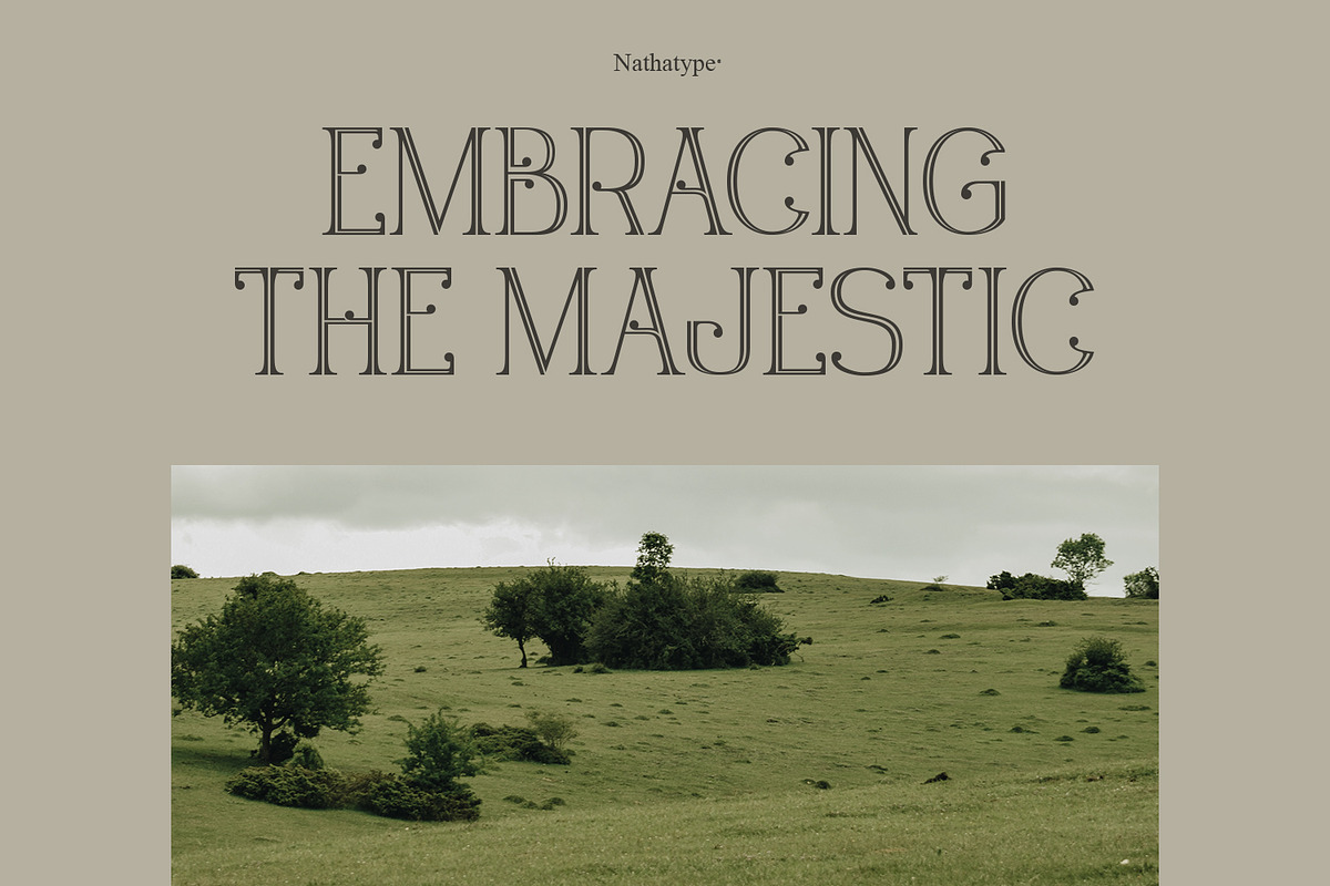Timesky, a Serif Font by Nathatype (Photo 8 of 11)