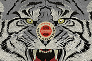 Tigers - Vector illustration, an Animal Illustration by Artistic & Unique (Thumbnail 2 of 4)