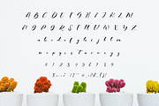 Macyate Font, a Handwritten Font by albert_kalingga (Thumbnail 5 of 6)