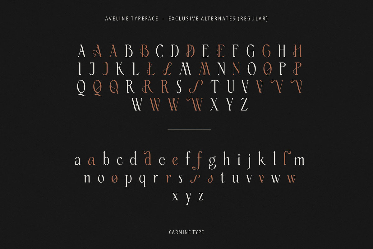 Aveline, Soft Serif with Ligatures, a Serif Font by CarmineType (Photo 22 of 28)