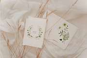 White Fields wildflowers flora, an Education Illustration by LiChu Art (Thumbnail 4 of 12)