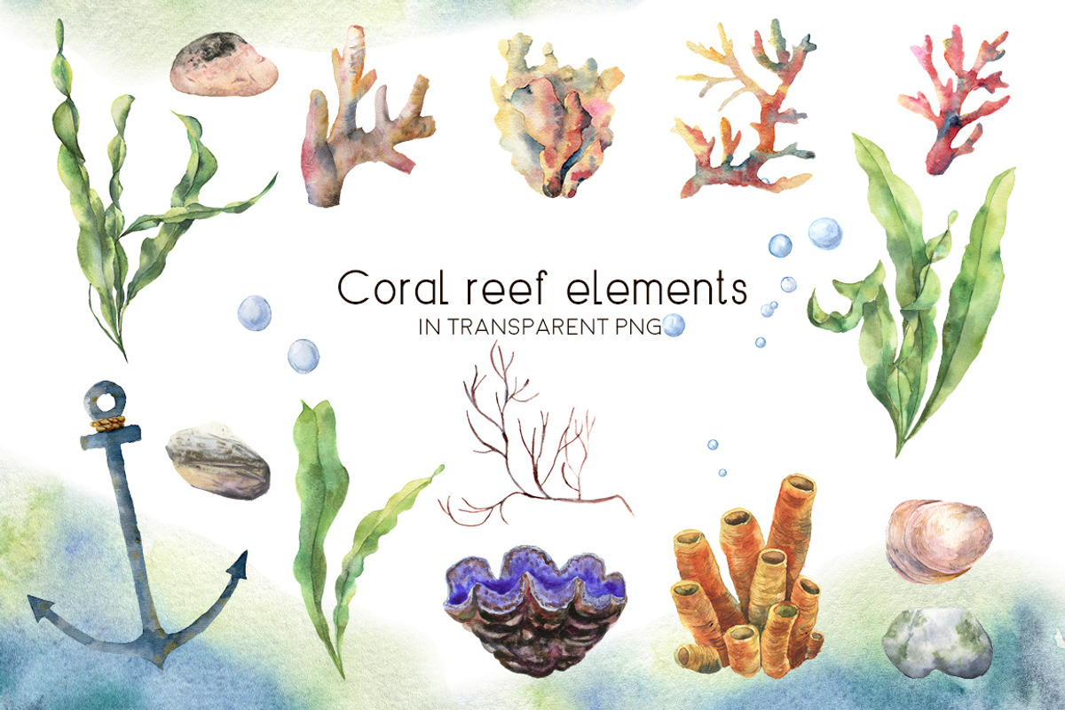 Underwater ocean watercolor clipart, an Animal Illustration by Yuliya Derbisheva (Photo 4 of 10)