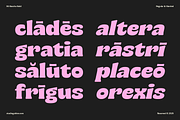SG Bascho Bold, a Sans Serif Font by Studio Gulden (Thumbnail 5 of 16)