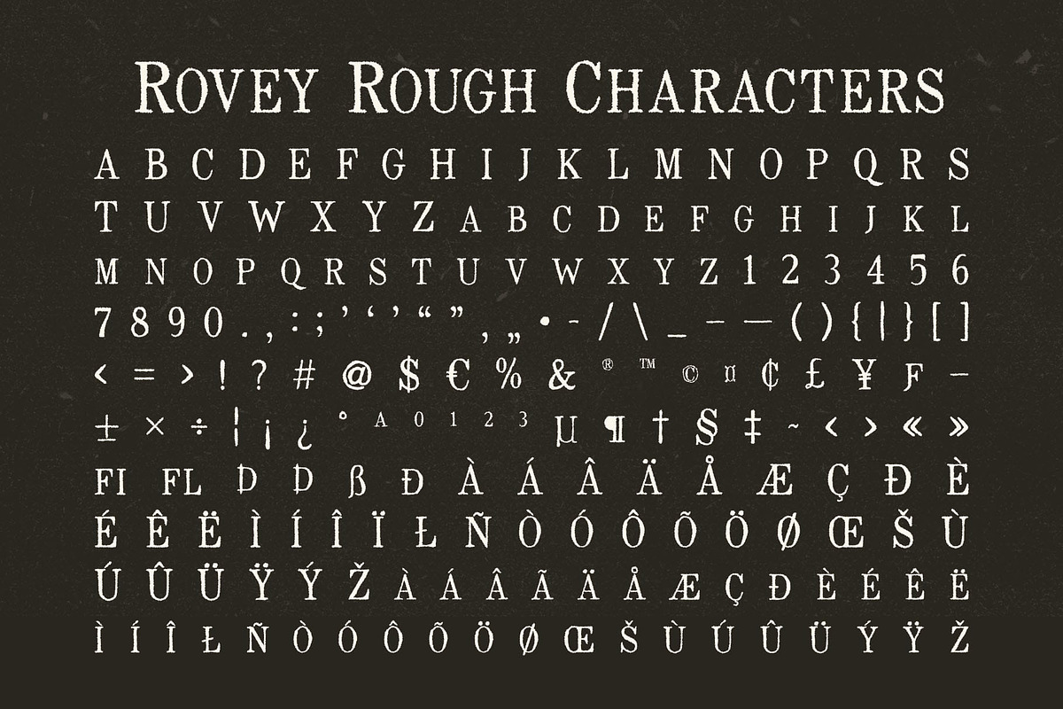 Rovey Rough, a Serif Font by Craft Supply Co. (Photo 8 of 8)