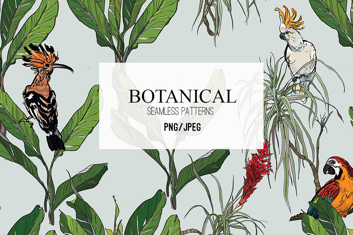 Botanical. Seamless Patterns, a Pattern Graphic by Irina Dolgikh (Photo 1 of 8)