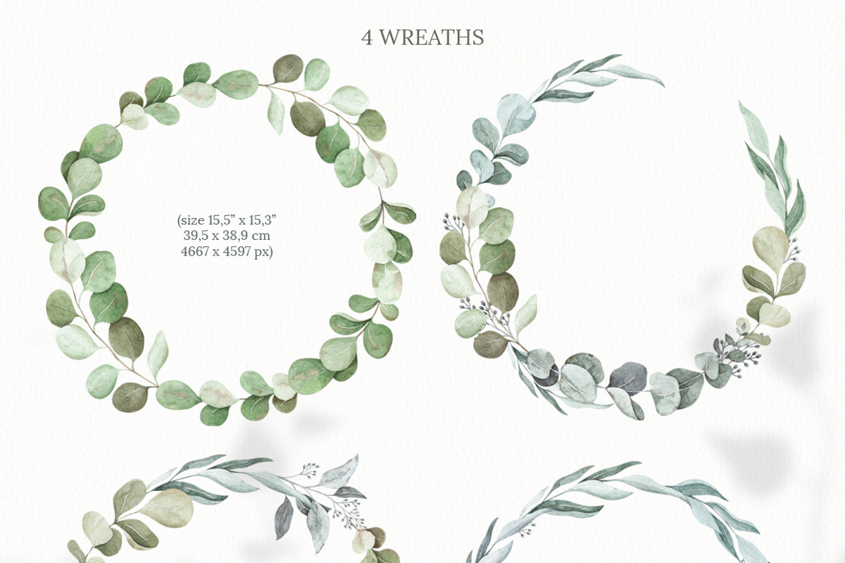 Watercolor eucalyptus clipart, an Illustration by OrangePeafowlArt (Photo 4 of 10)