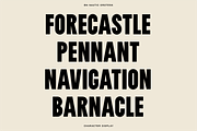 The Diverse Font Bundle, a Sans Serif Font by Bnick (Thumbnail 25 of 34)