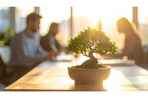 Small bonsai tree on office desk lit, a Nature Photo by Igor Tichonow