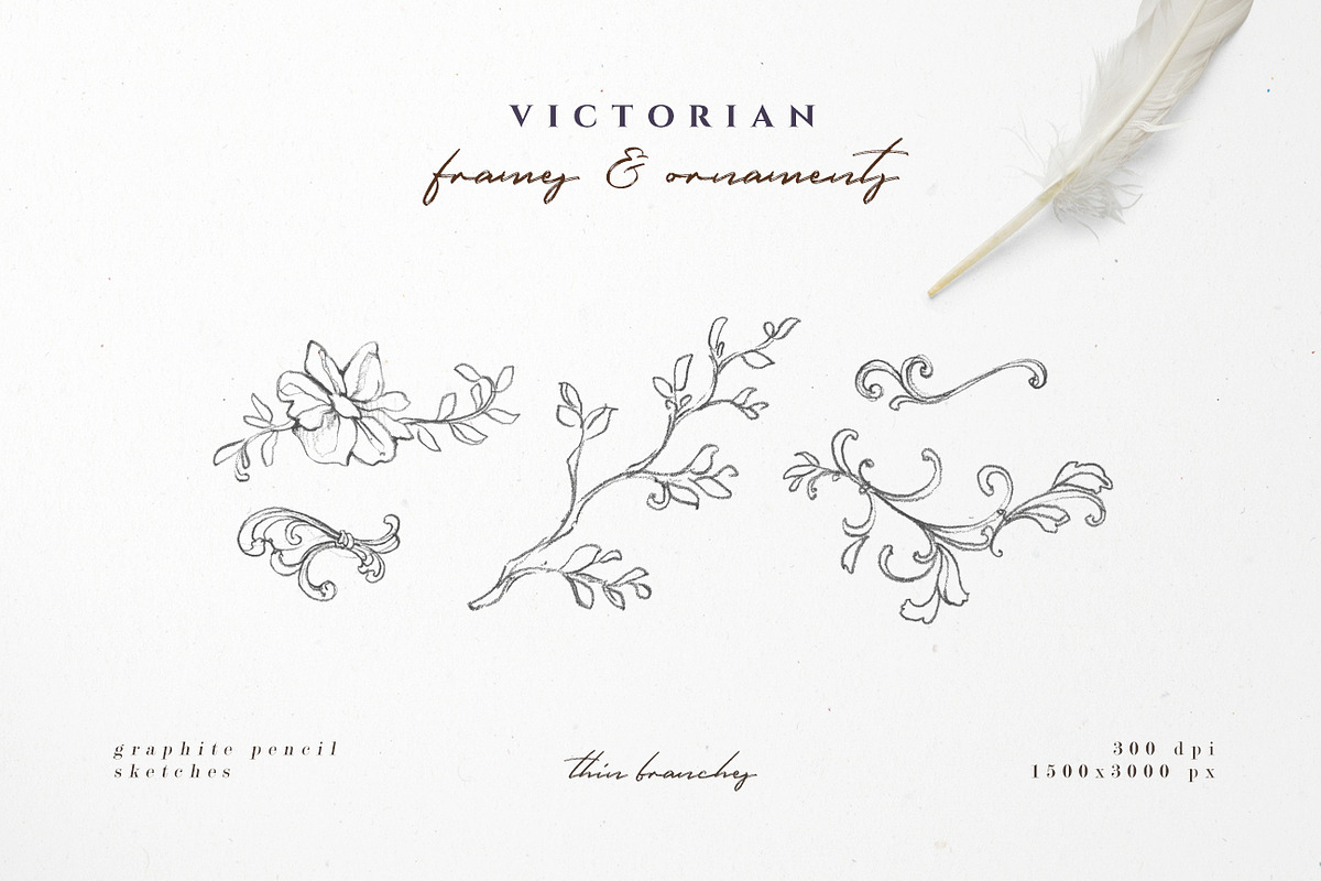 Victorian Frames & Ornaments, an Illustration by Aquarellina (Photo 25 of 27)