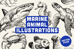 25 Marine Animal Illustrations, an Animal Illustration by Vectorian