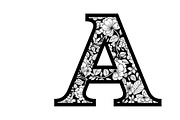 Beautiful flower alphabet set floral, an Illustration by Amazin_art (Thumbnail 3 of 31)