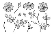 Wild roses, a Decorative Illustration by Tabita's shop (Thumbnail 4 of 4)