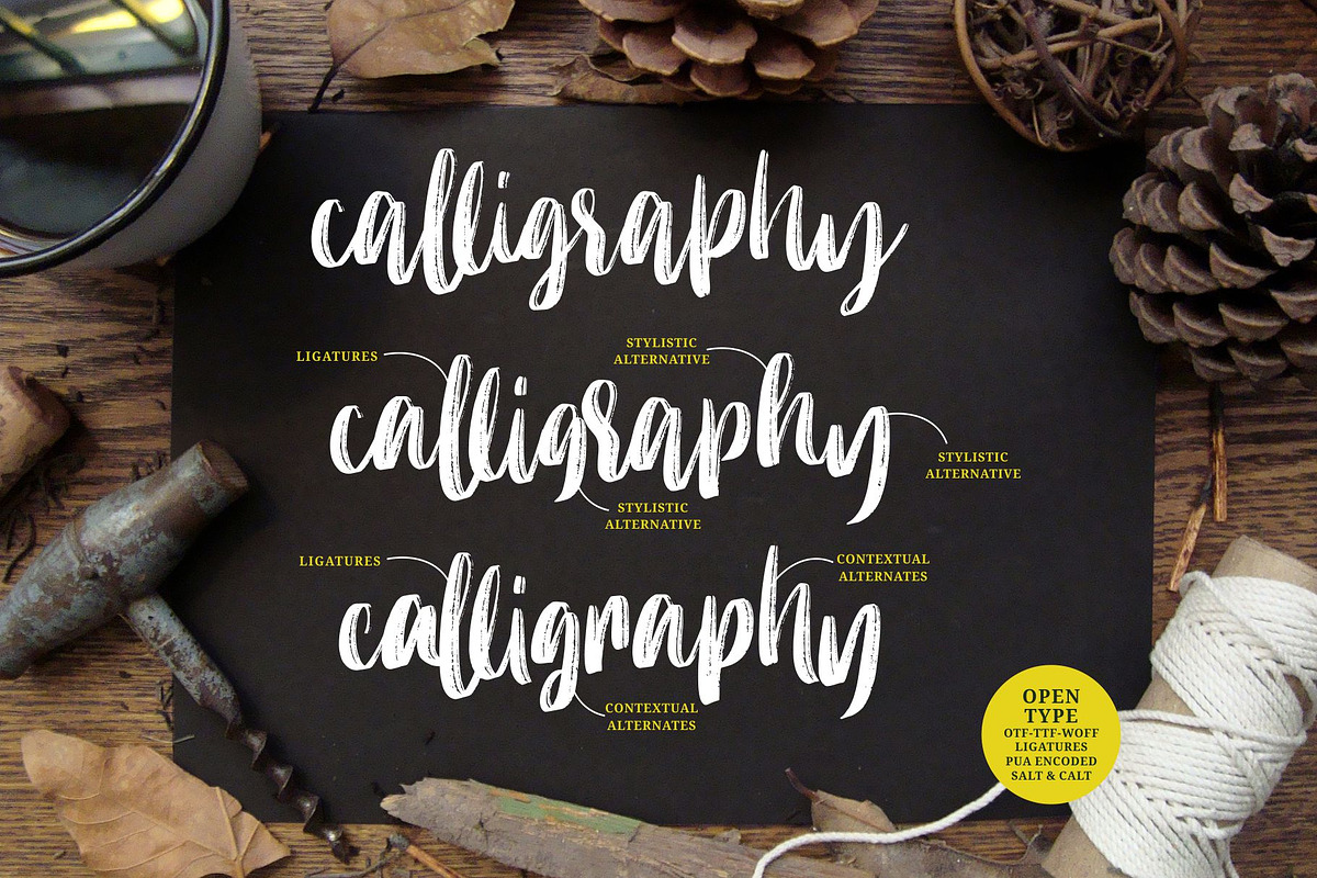 Molliquam - Handwritten Font, a Script Font by Garisman Std (Photo 2 of 8)