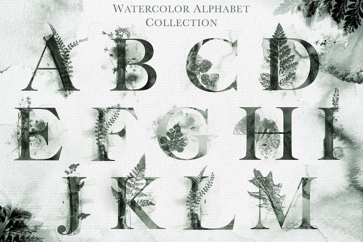 Herbarium: Design Set, a Graphic by Lumitar (Photo 7 of 14)