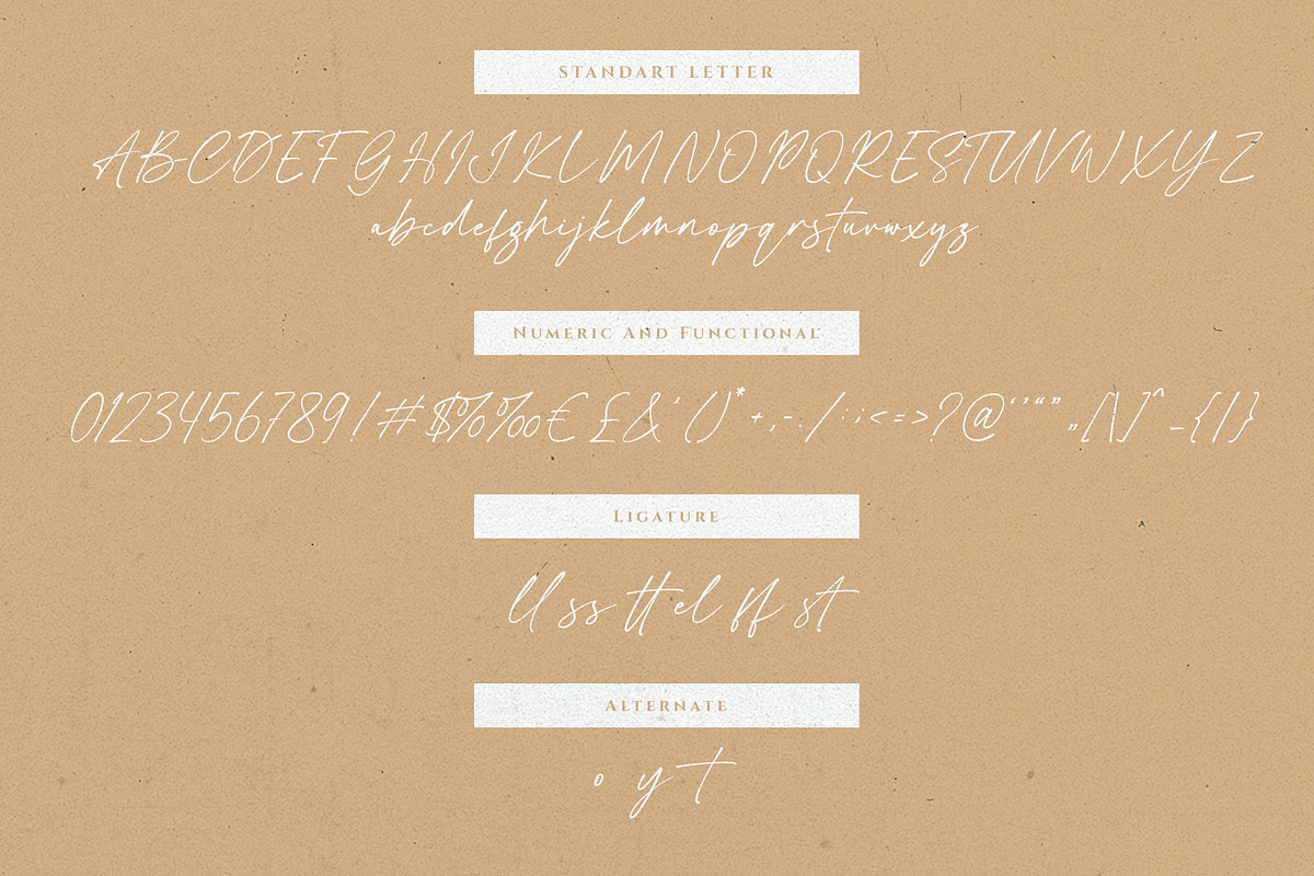 Castely Signature Business Font, a Handwritten Font by RantautypeStudio (Photo 14 of 15)