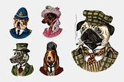 Fashion Dog. Animal character draw, an Animal Illustration by Arthur Balitskiy (Thumbnail 1 of 2)