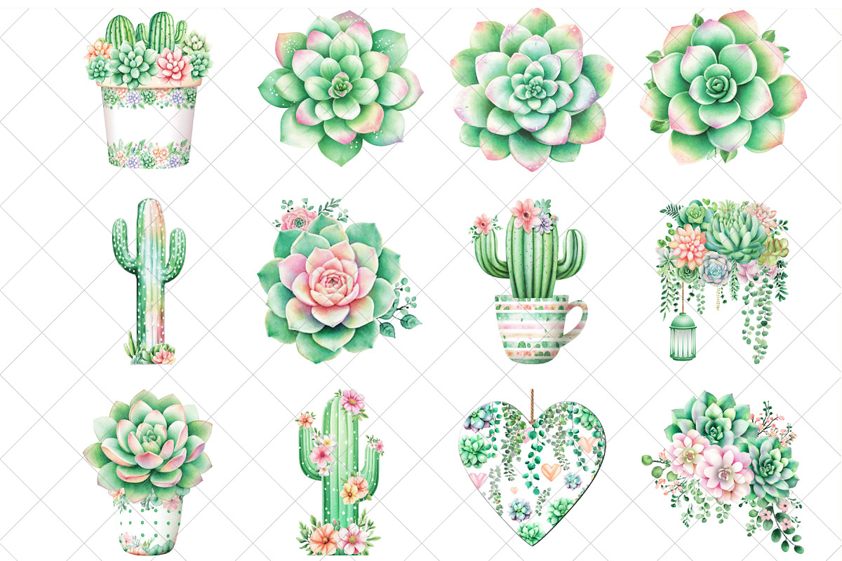 Watercolor Succulent Clipart, an Illustration by SinaCreation (Photo 2 of 7)
